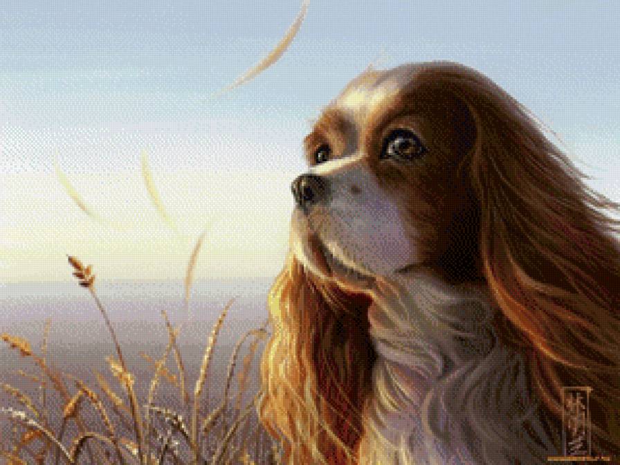 Охота - охота, собака - предпросмотр