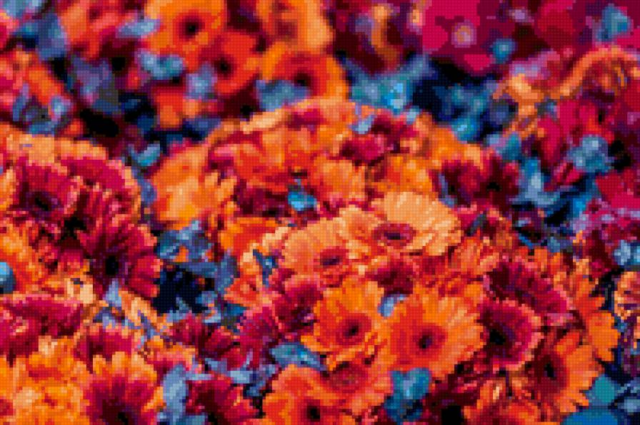 №702334 - цветы, герберы - предпросмотр