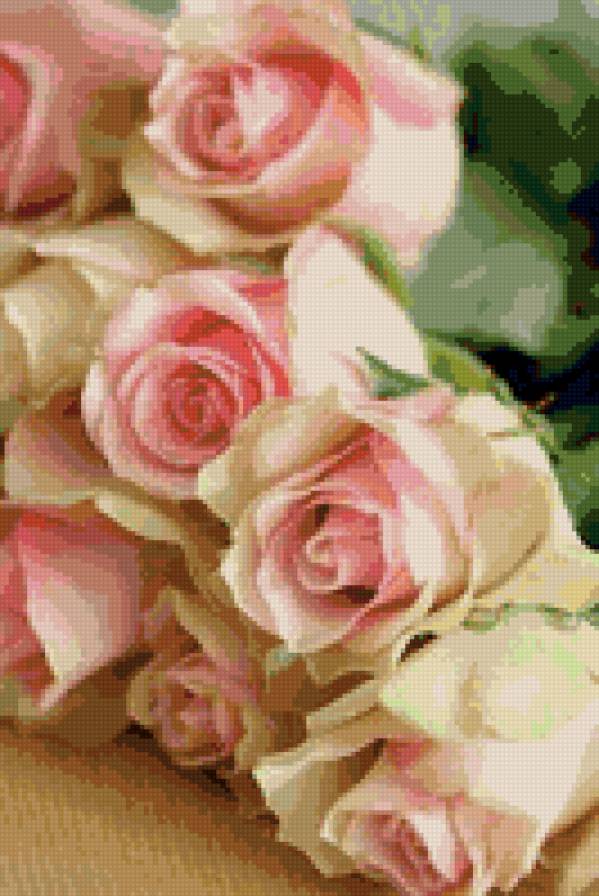 №702354 - розы, цветы - предпросмотр