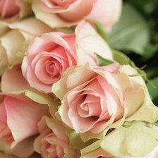 Схема вышивки «№702354»