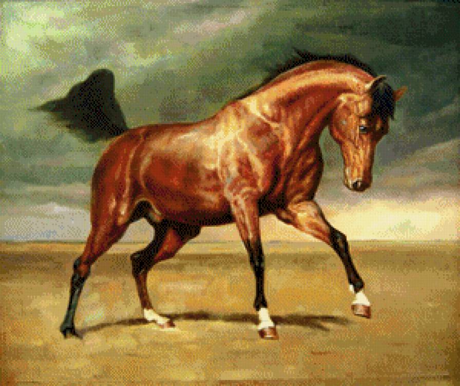 Янтарь - лошади, кони, животные - предпросмотр