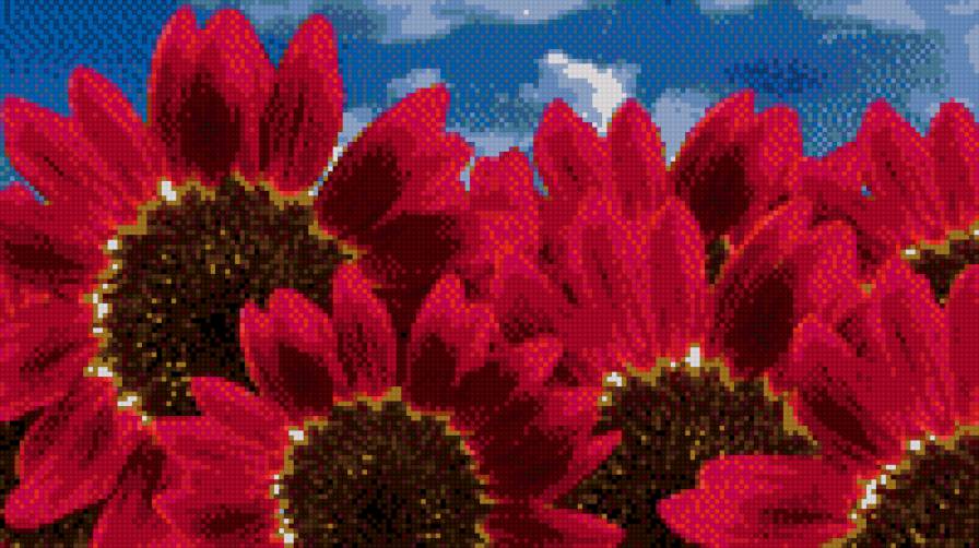 цветы - цветы - предпросмотр