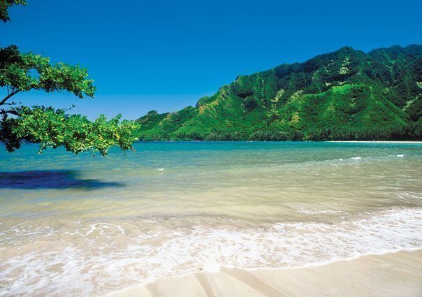 №702542 - оригинал