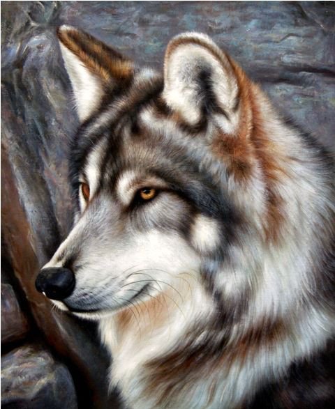 волк - животные, волк - оригинал