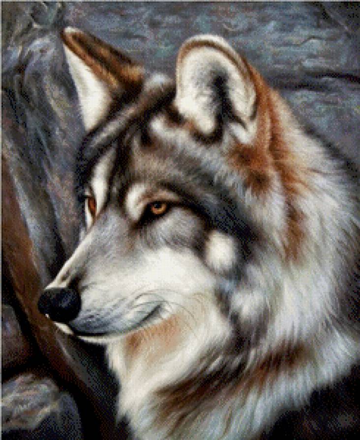 волк - животные, волк - предпросмотр