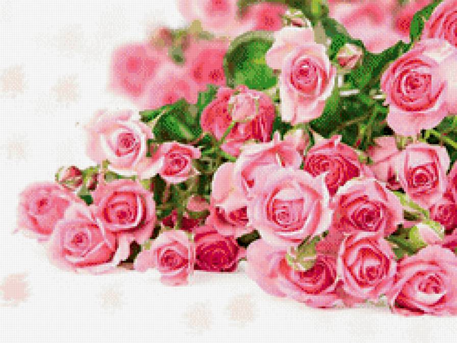 букет роз - букет, розы - предпросмотр