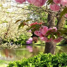 Схема вышивки «природа»