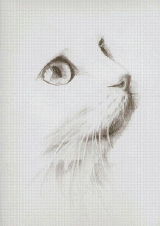 кот - предпросмотр