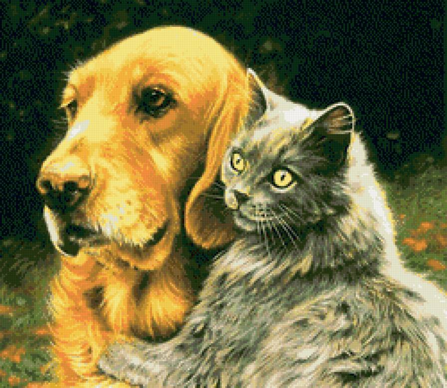 друзья - животные, собаки, кошки - предпросмотр