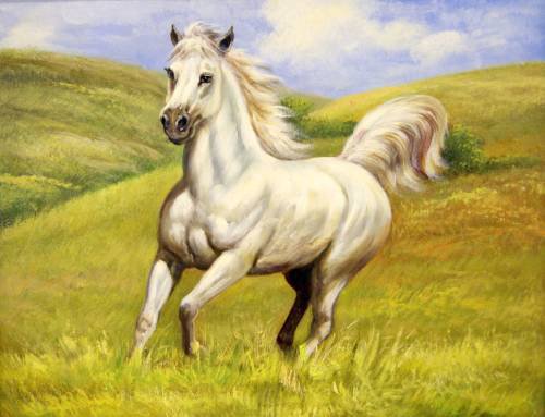 лошадка - лашадь, конь, поле, степь - оригинал