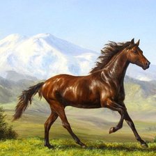 Схема вышивки «№702972»