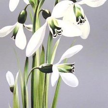 Схема вышивки «№702983»