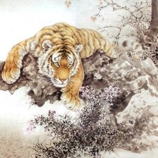 Схема вышивки «Тигр»