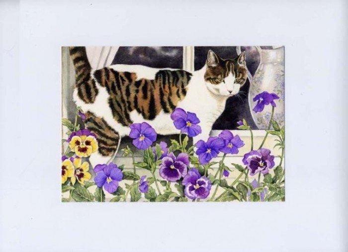 мурка - цветы, котики, коты, окно, кот - оригинал