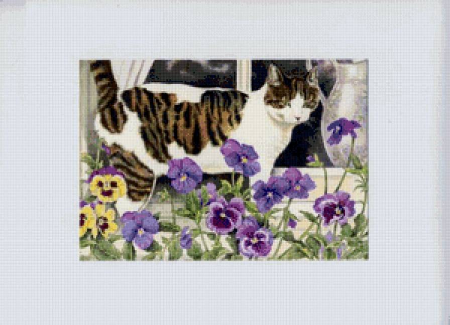 мурка - котики, коты, цветы, кот, окно - предпросмотр