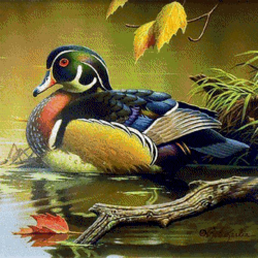 №703599 - предпросмотр