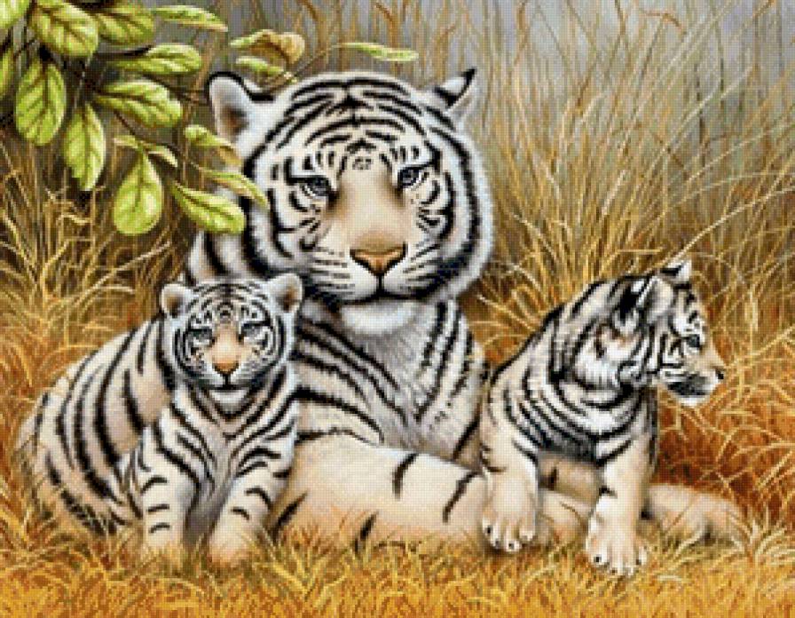 №703600 - предпросмотр