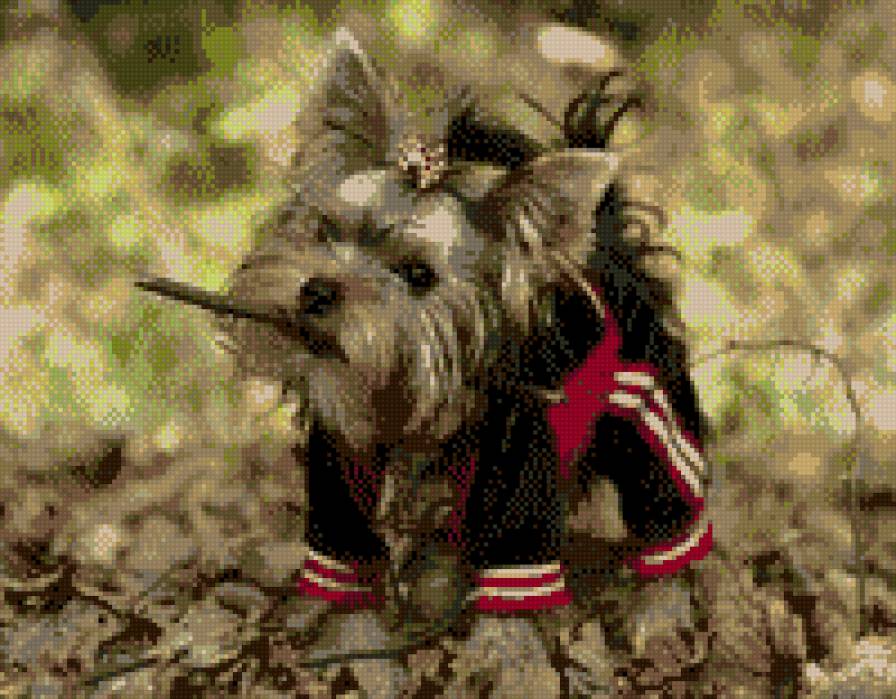 Йоркширский терьер - предпросмотр