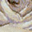 Предпросмотр схемы вышивки «№703711»