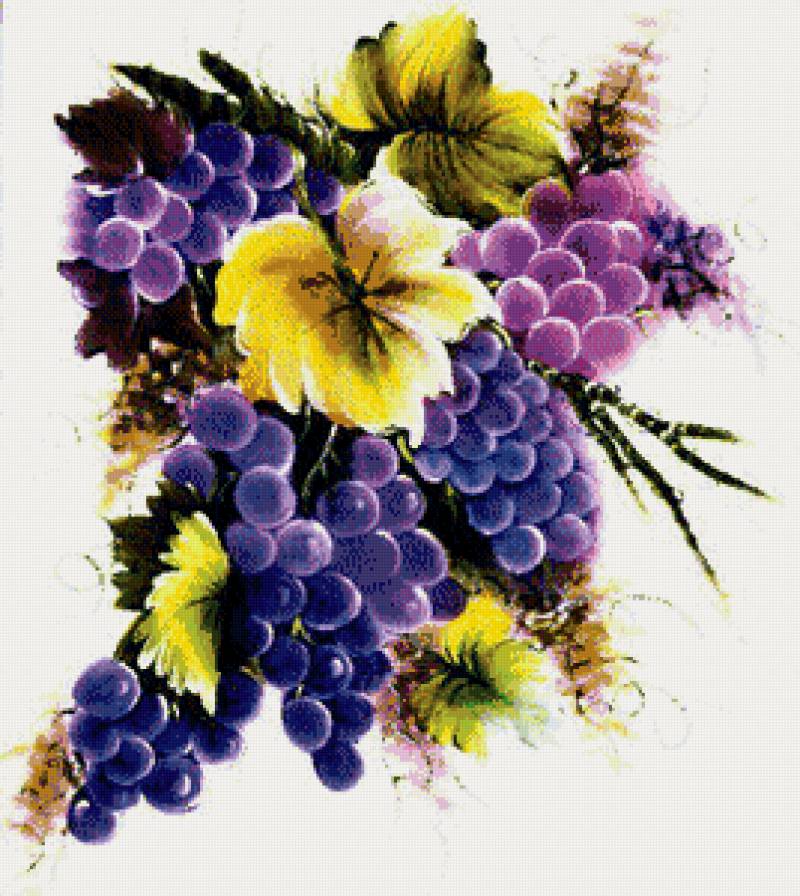 №703719 - виноград - предпросмотр