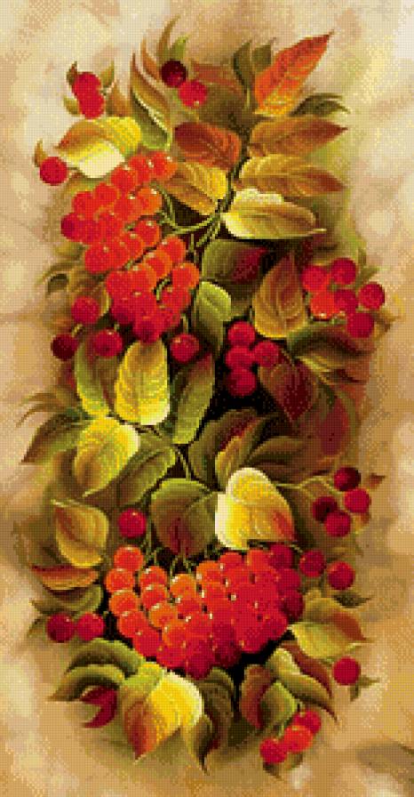 №703734 - рябина - предпросмотр