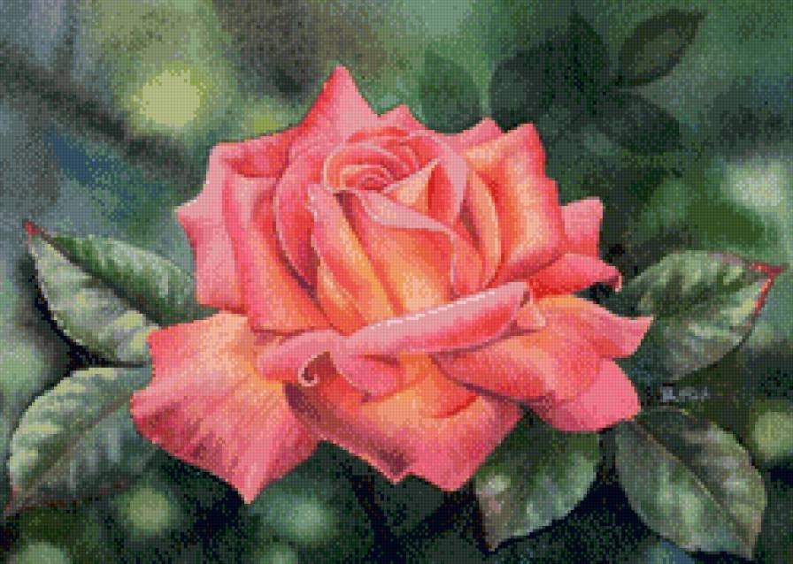 пано роза - пано, роза, цветы - предпросмотр