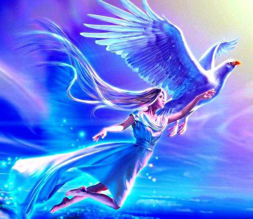 птица - оригинал