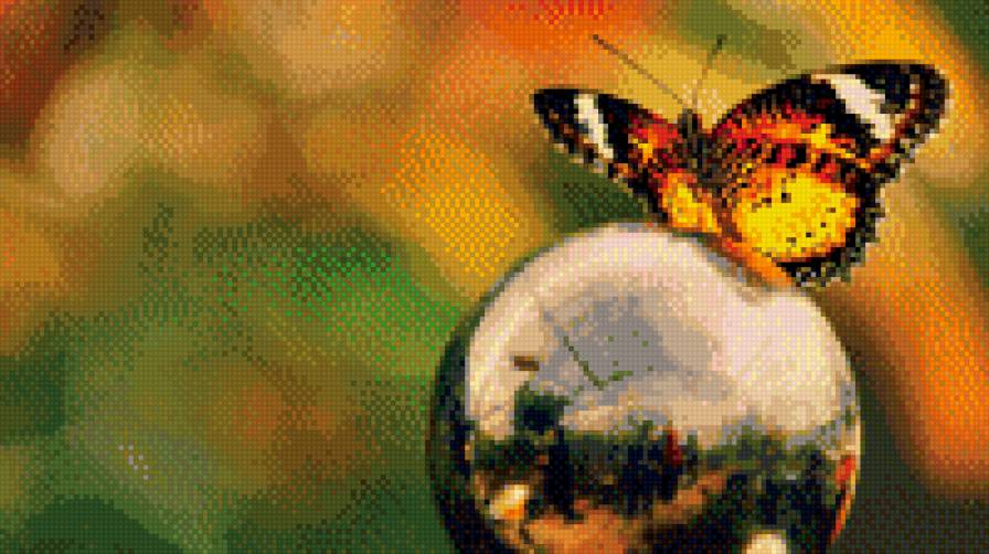 Бабочка - бабочки, природа, шар - предпросмотр