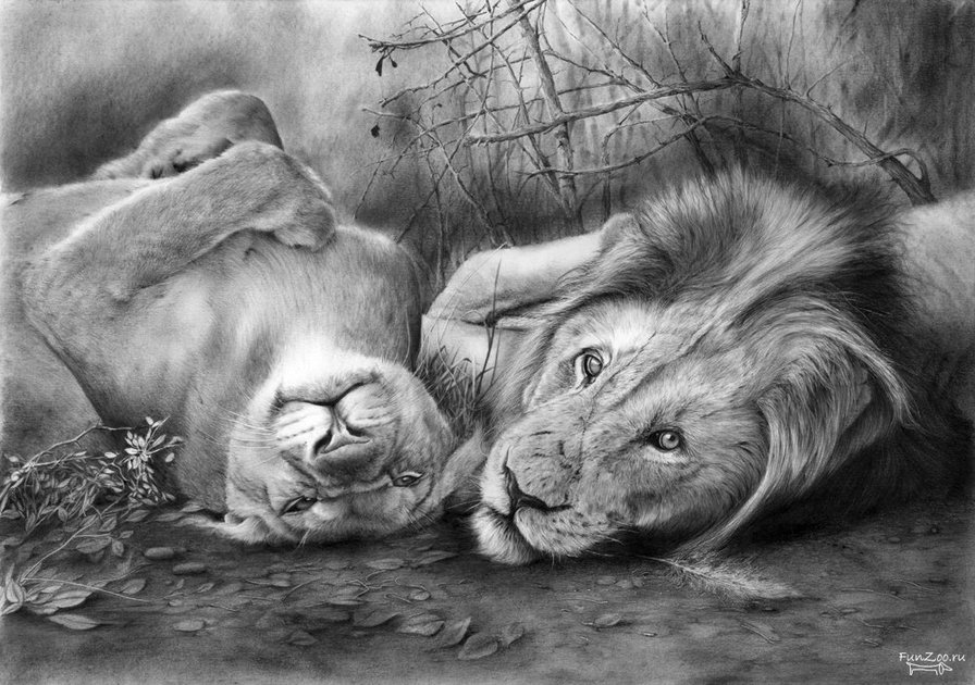 №704009 - животные - оригинал