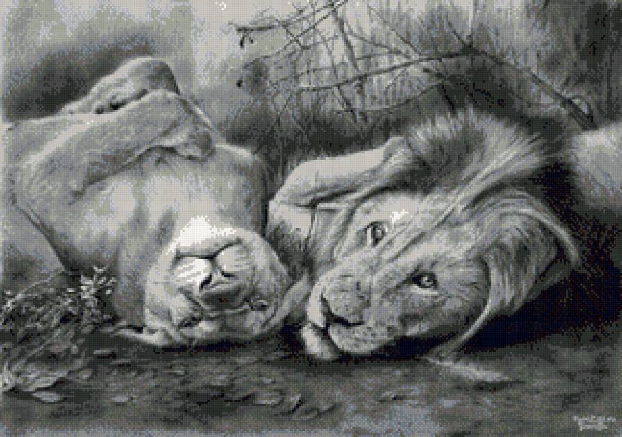 №704009 - животные - предпросмотр