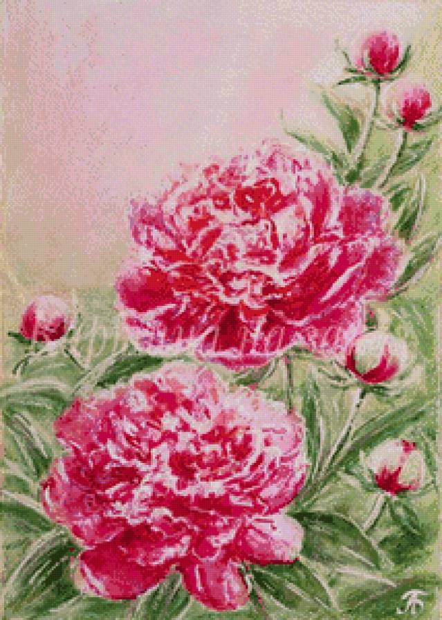 №704011 - цветы - предпросмотр