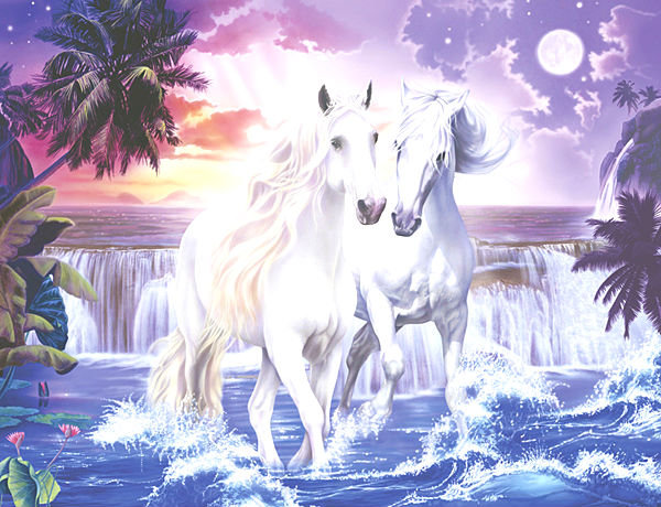 Нежная луна - животные, конь, лошади - оригинал