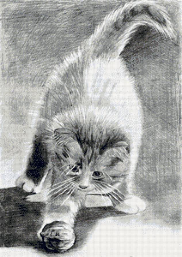 №704162 - котята - предпросмотр