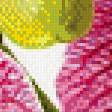 Предпросмотр схемы вышивки «Орхидея» (№704505)
