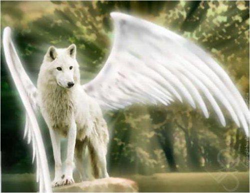 крылатый волк - волк, хищник, крылья - оригинал