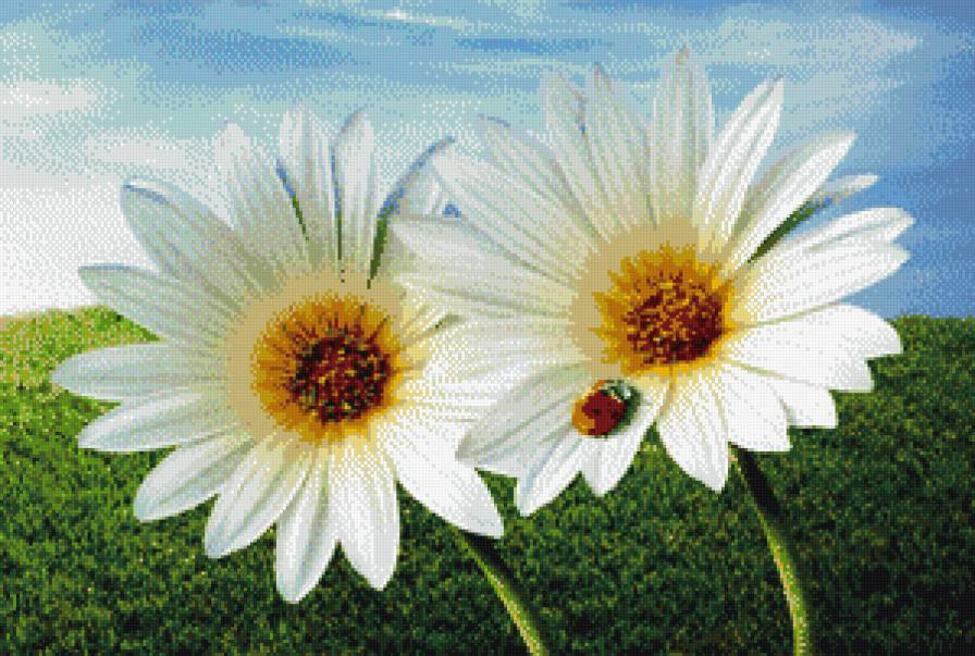 №704588 - предпросмотр