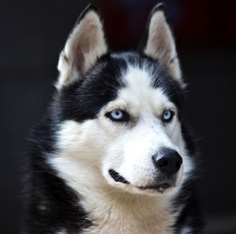 №704590 - оригинал