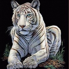 Схема вышивки «№704596»