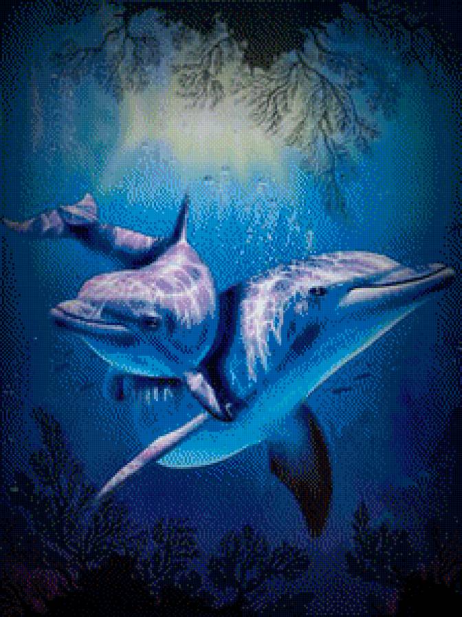 дельфины - дельфины - предпросмотр