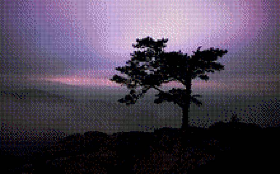 Сумерки - дерево, природа, сумерки - предпросмотр