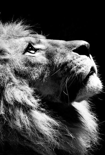 апр - оригинал