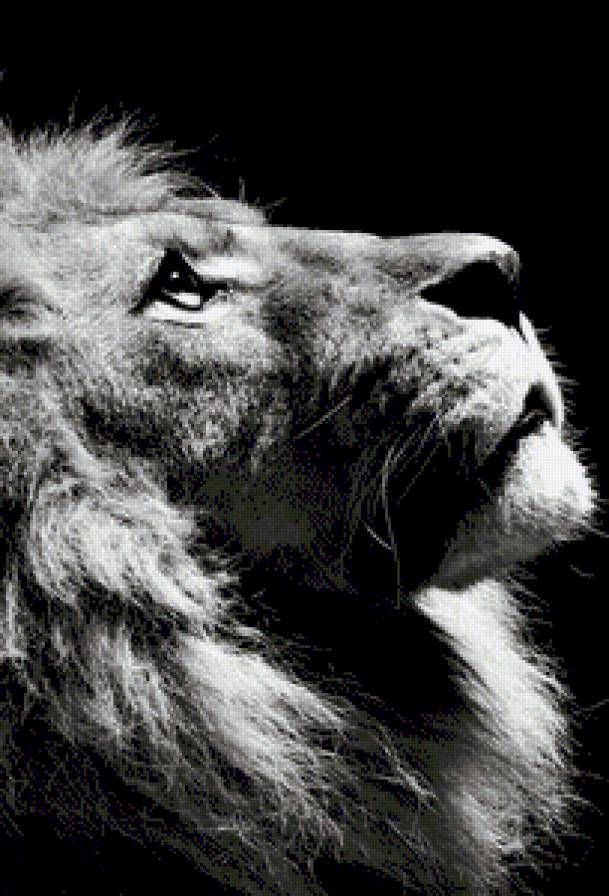 апр - предпросмотр