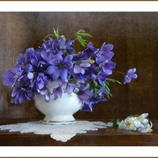 Схема вышивки «№704764»