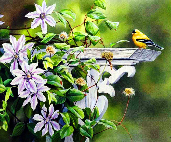 цветы и птицы - птицы, цветы, пано, природа - оригинал