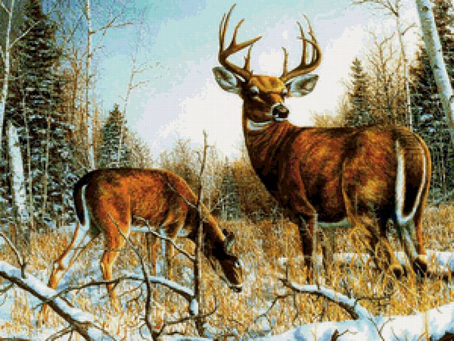 олени - животные, лес, олени, пейзаж, природа, снег - предпросмотр