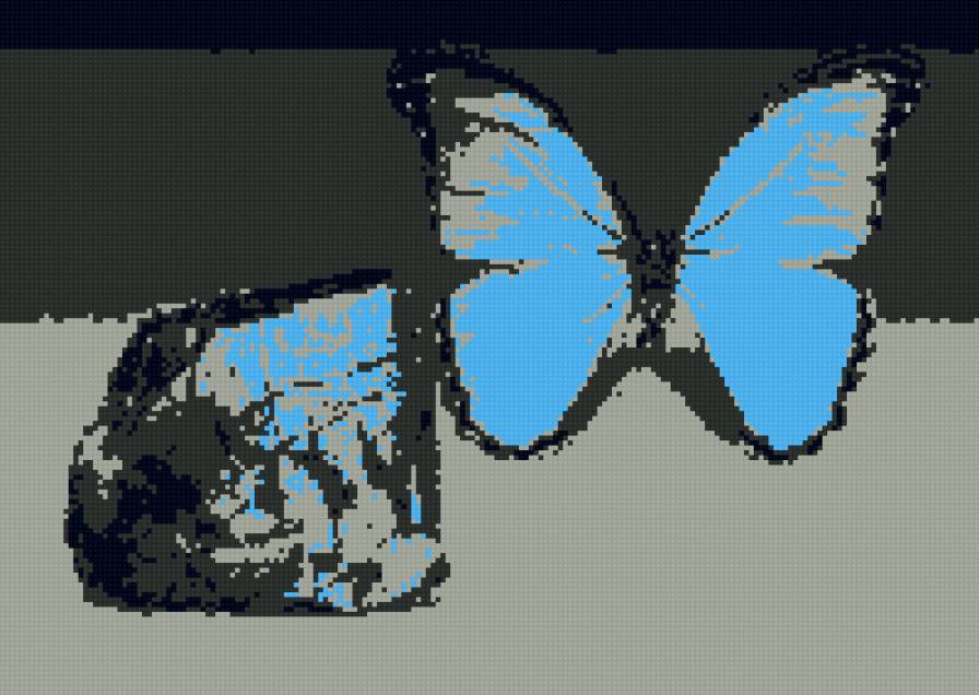 бабочка и камень - бабочка, камень - предпросмотр