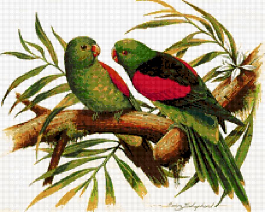 №705146 - предпросмотр