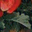Предпросмотр схемы вышивки «Маки» (№705204)