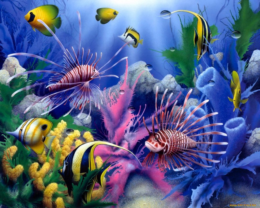 Аквариум - рыбки - оригинал