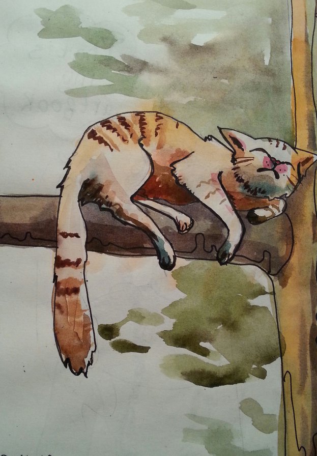 коте - кошки - оригинал